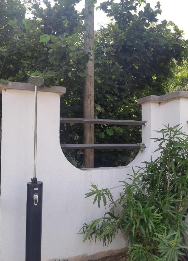 Pace, Luminosita E Comodita A Due Passi Dal Garda Volta Mantovana Εξωτερικό φωτογραφία