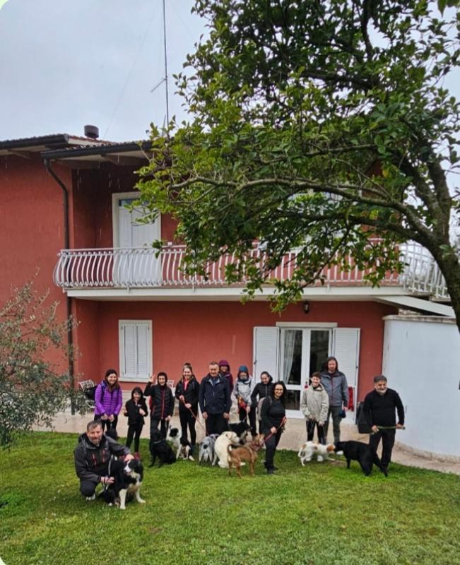 Pace, Luminosita E Comodita A Due Passi Dal Garda Volta Mantovana Εξωτερικό φωτογραφία