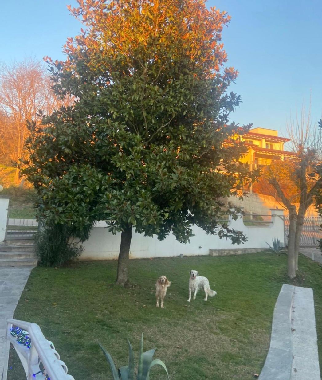 Pace, Luminosita E Comodita A Due Passi Dal Garda Volta Mantovana Δωμάτιο φωτογραφία